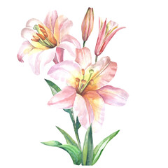 Obraz na płótnie Canvas bouquet of pink lilies