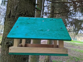 birdhouse hanging on a tree in the spring season