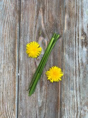 Obraz premium Mathematical figures made of natural material, grass and flowers.