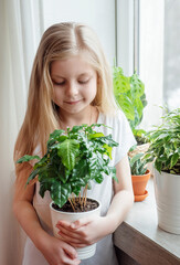 Little girl caring for houseplants