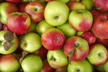 food texture of red and green apples