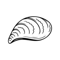 Hand drawn seashell isolated on a white background. Doodle, simple outline illustration. It can be used for decoration of textile, paper.