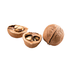 Isolated walnuts in shell on white background