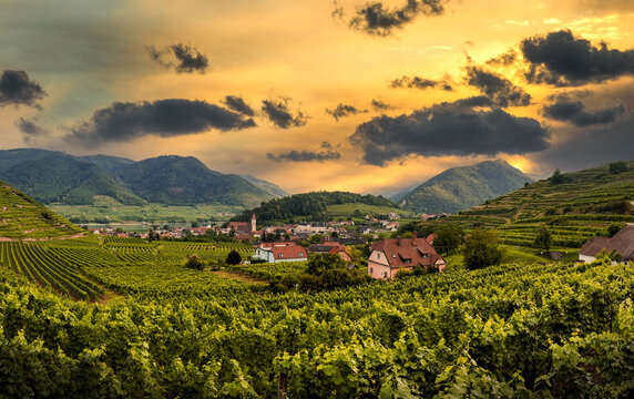 Sunset over vineyard and Spitz town in Wachau region, Austria.