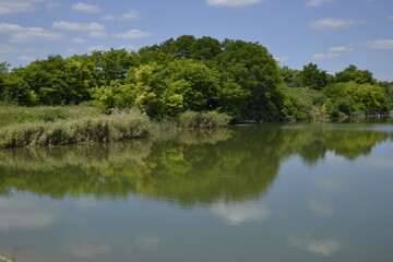 Fototapeta na wymiar Borovacko Lake near the Vojvodina town of Vrdnik, Serbia.