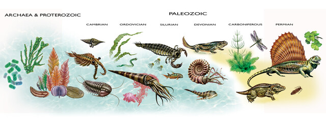 The Archean, Proterozoic and Paleozoic eras