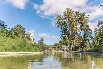 Naklejka na ściany i meble beautiful park with palm trees and a small river.