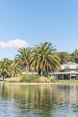 Obraz na płótnie Canvas beautiful park with palm trees and a small river.