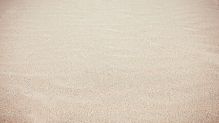 sand background on the beach. summer vacation beach background. sand.