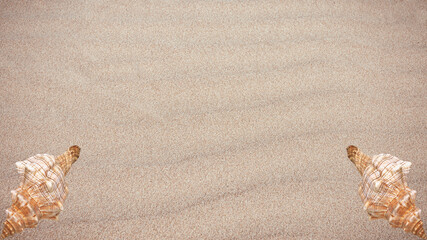 sand background on the beach. summer vacation beach background. sand.
