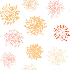 Vector seamless pattern with chrysanthemums. Hand drawn flowers background.