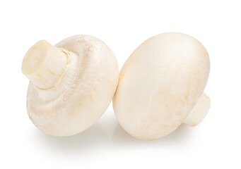pair of small champignons isolated on white.The entire image is sharpness.
