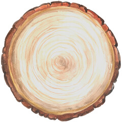 Large circular piece of wood cross section