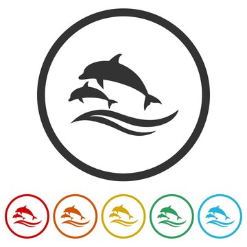 Dolphins ring icon isolated on white background color set