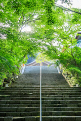 竈門神社　福岡県太宰府市　Kamado Shrine Fukuoka-ken Dazaifu city