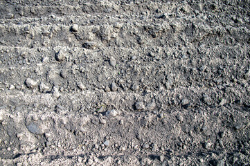 Cultivated field for planting potatoes