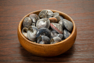 ながらみ貝の塩茹で