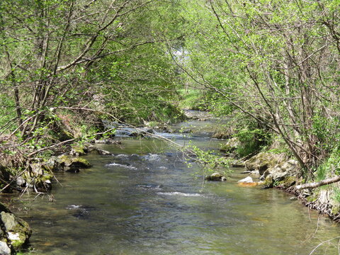 klarer Naturbach