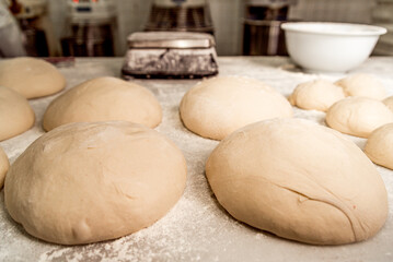 Fototapeta premium close up of uncooked bread shapes of fresh dough with flour on shelf before entering the oven for baking. flat lay of fresh round bread in bakery factory