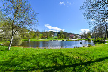 Ein kleiner See umrandet von blühenden Bäumen 
