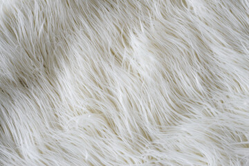 fur background. Fur Carpet