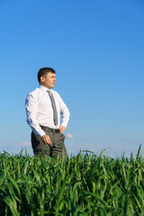 Naklejka na ściany i meble businessman poses in a field, he looks into the distance, green grass and blue sky as background