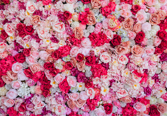 Obraz premium Red, pink plants close-up. Background, texture of multi-colored, bright, beautiful homemade, various colors. Decorations for photography.