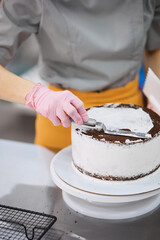 A bright pastry chef girl is engaged in the preparation of a cake