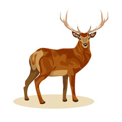 Female and male deer. Deer brown or red deer. Wild animals of Europe, America and Scandinavia. Vector illustration of a young sika deer 