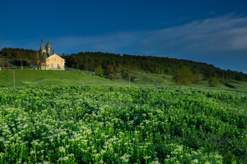 Fototapeta na wymiar Christian religion background concept. Green landscape with Orthodox church.