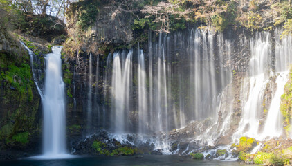 富士市　白糸の滝