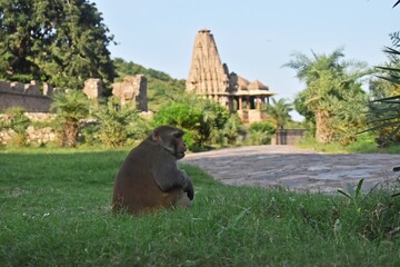 Bhangarh fort,alwar,rajasthan,india © sumit