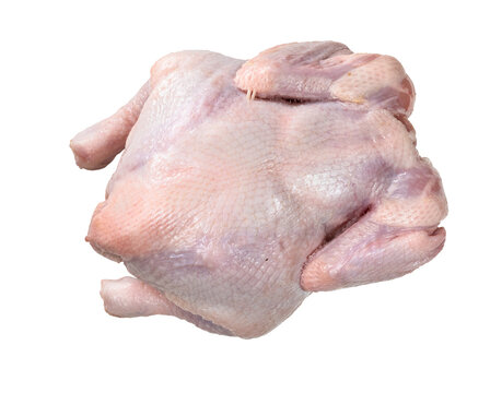 whole air chilled uncooked chicken cutout