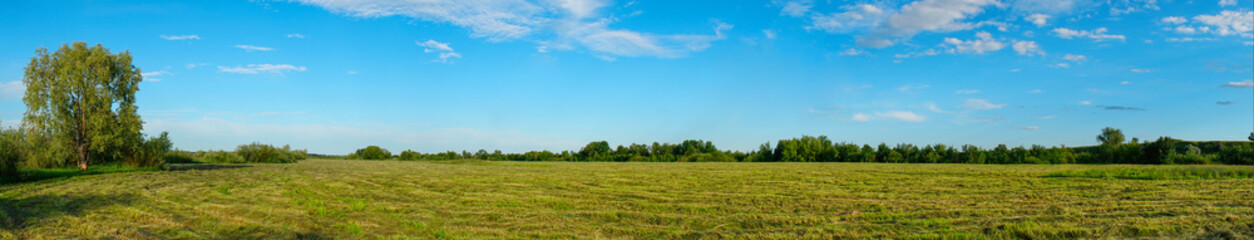 Fototapeta na wymiar Panorama of a Large mown meadow in front of forest
