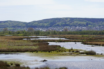 Moorgebiet in Nrw  in deutschland