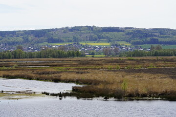 Moorgebiet in Nrw  in deutschland