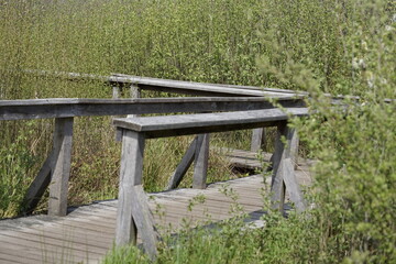 wooden bridge over the river