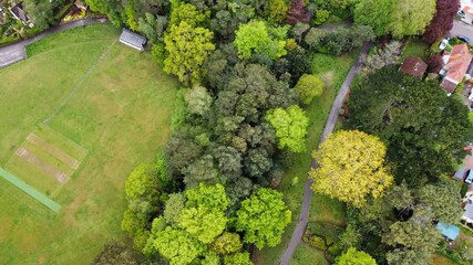 Aerial view looking down on to a cricket pitch bordered by colourful trees and a path