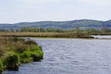 Moor in Deutschland , das Große Torfmoor