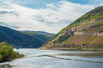 Castles on both sides of the Rhine Valley, World Heritage Site