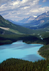 Peyto Lake, near Banff, Alberta, Canada