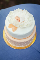 Delicious birthday cake. Beautiful big cake with two storey decorated by tender sweet newborn baby girl in a flower.