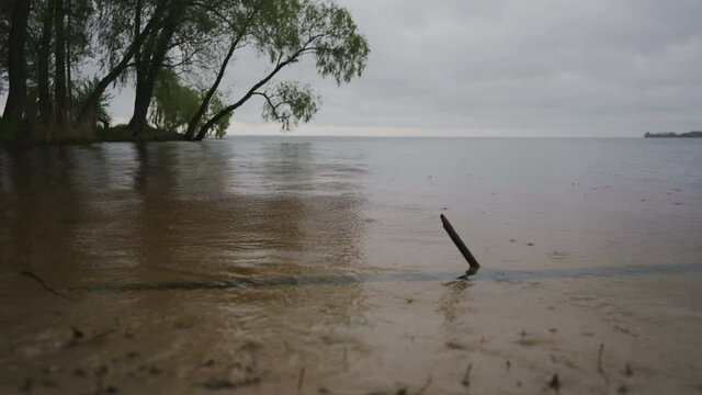 Rainy day on the river. Raindrops on the water surface