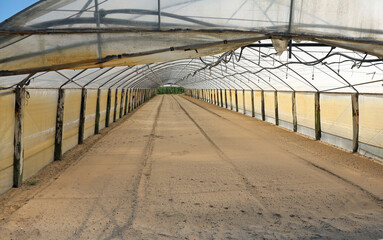greenhouse with fertile soil ready for planting vegetables