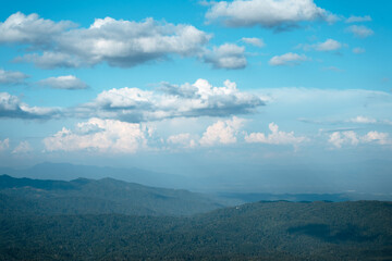 Mountain and tree Landscape in summer