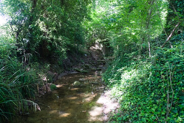 Lungo il sentiero del granchio nero nelle Marche in Italia