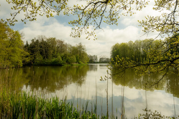 Obraz premium reflection of trees in the lake