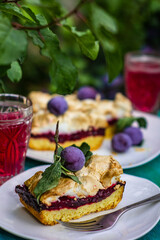 Pieces of tasty homemade pie with plums and meringue in the summer garden. Plum juice. Green leaves of plum tree background.