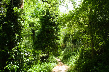 Lungo il sentiero del granchio nero nelle Marche in Italia