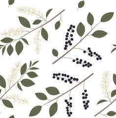 Naklejka premium Bird cherry vector seamless pattern with branches, leaves and berries color hand drawn illustration. Isolated on white background.